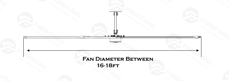ZF FAN CHART